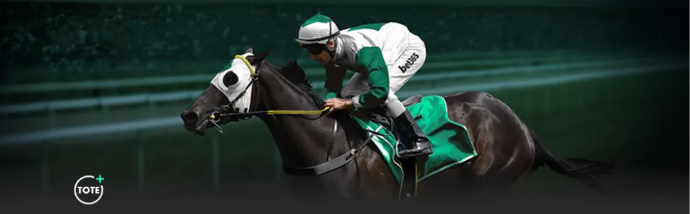 門興迎戰拜,仁德甲第,輪前瞻,澳门新葡京app,新葡京下载