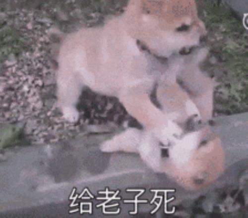 斯诺克赛事,日丁俊晖连,败五场,澳门新葡京app,新葡京下载