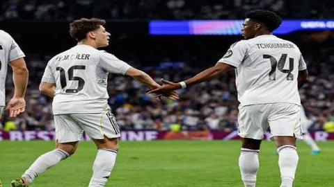 “张本智和金奈站比赛中遭遇意外：场馆惊现鸟粪场面尴尬”