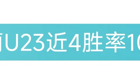 維拉大巴途遇不幸 玻璃被擊損