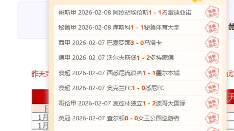 丹超联赛精彩角逐 桑德捷斯基直面布隆德比