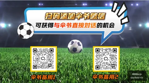 芬超赛事复盘：16中20土尔库对埃尔维斯关键对决解析及比分