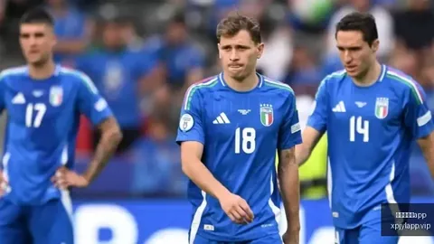2026深度解析：基本面与初始数据平衡策略终极指南